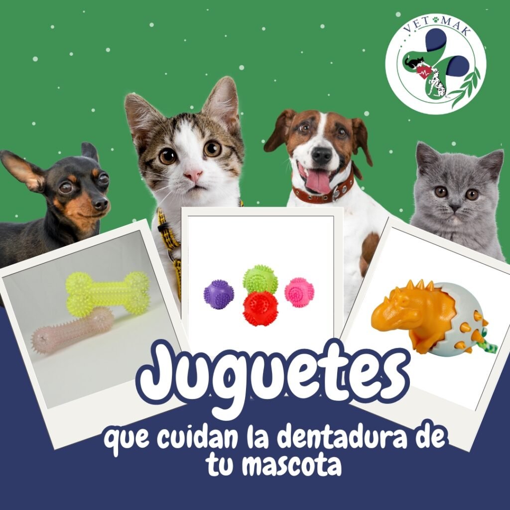 Juguetes para Cuidar la Dentadura de tu Mascota Clínica Veterinaria y