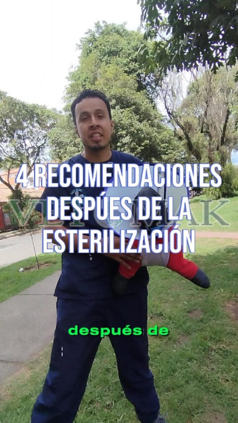 Instagram post from vetmak_clinica. This post is in position 1.