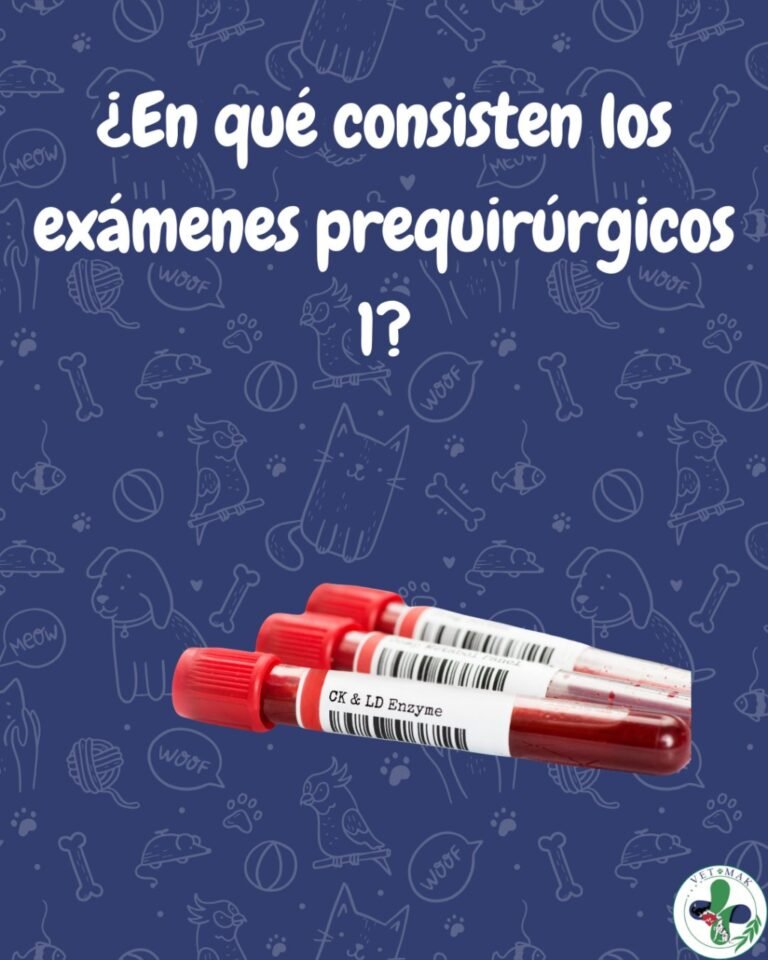 Instagram post from vetmak_clinica. This post is in position 5.