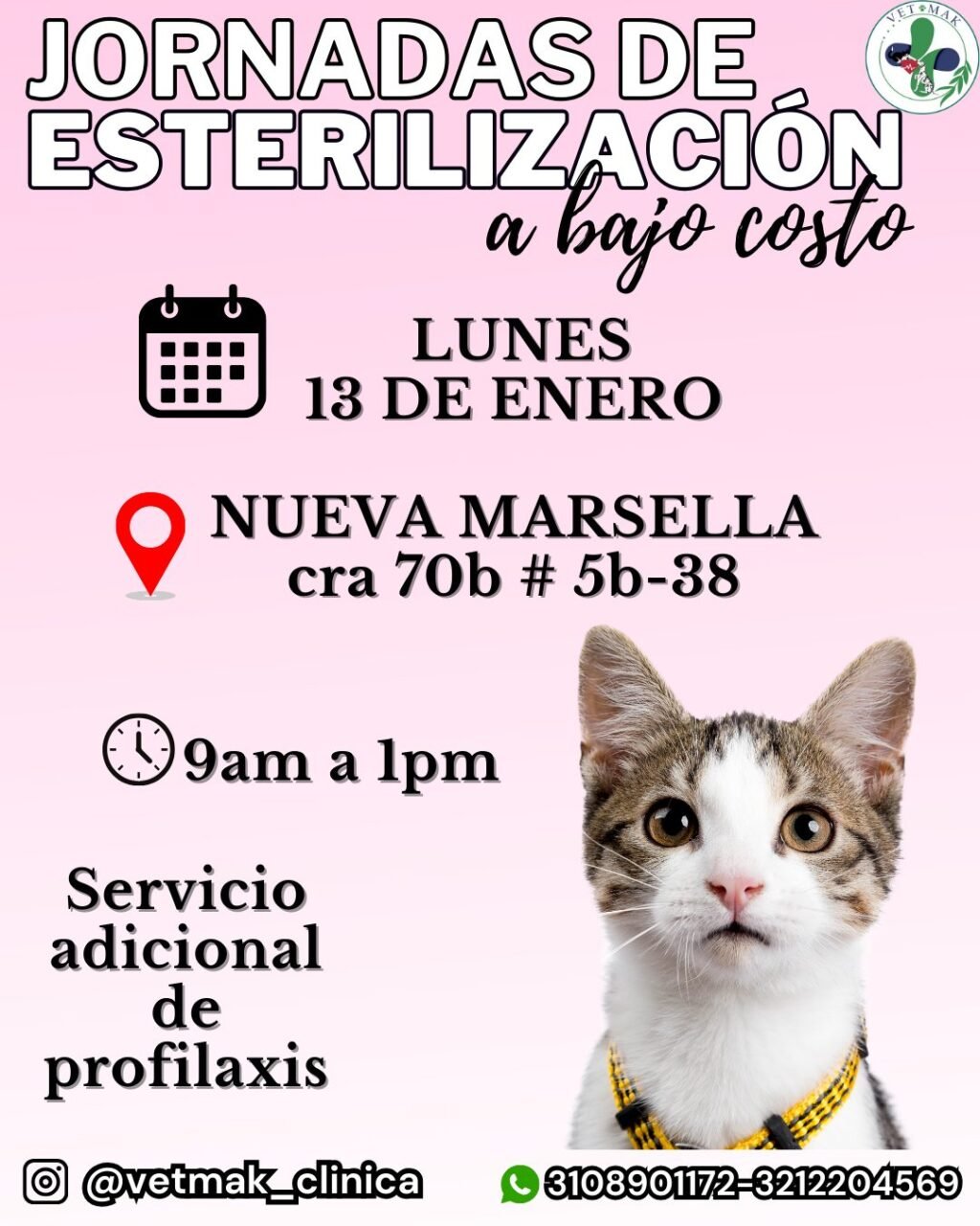 Instagram post from vetmak_clinica. This post is in position 2.