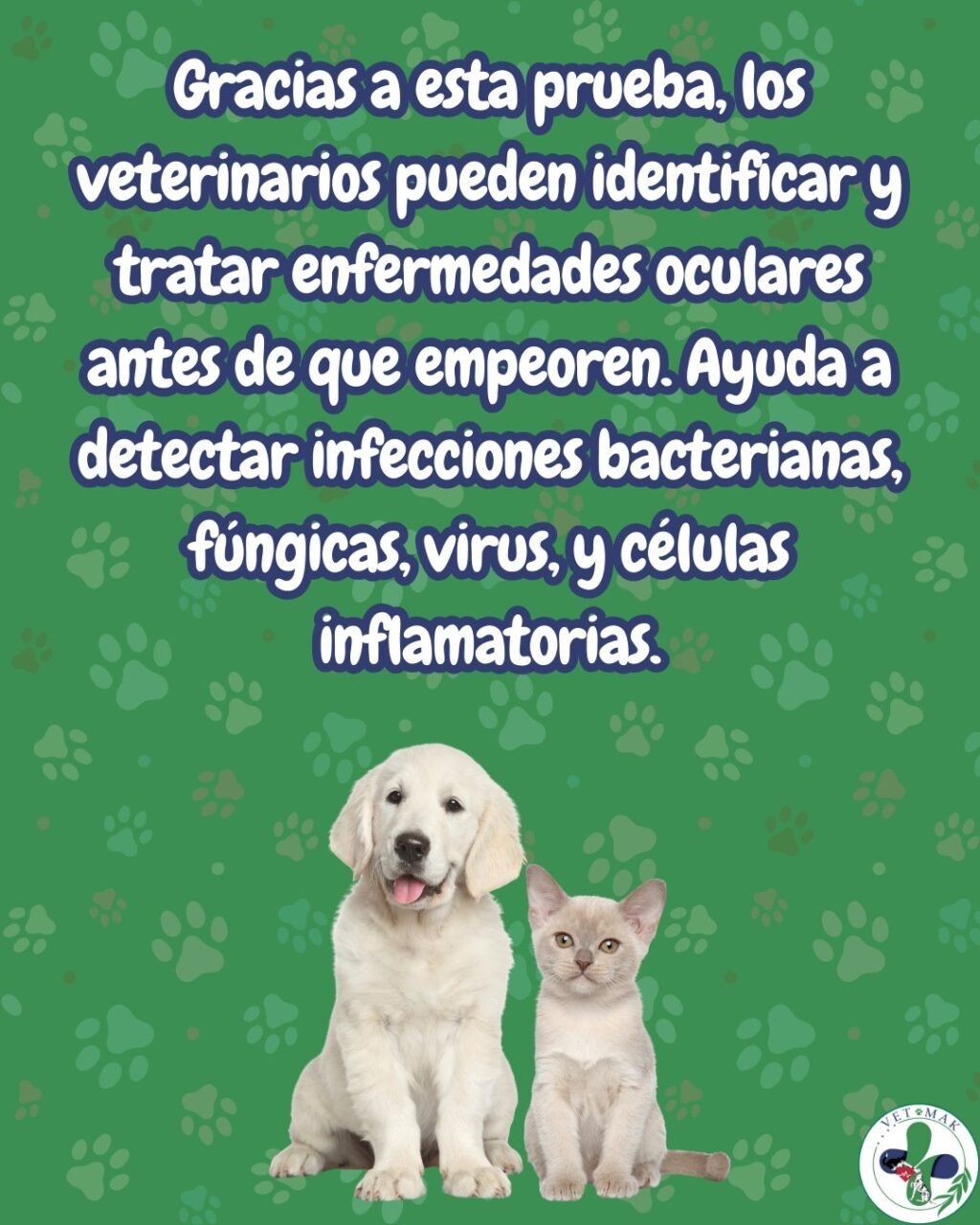 Instagram post from vetmak_clinica. This post is in position 2.