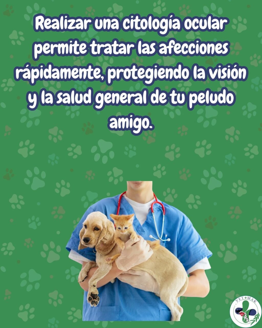 Instagram post from vetmak_clinica. This post is in position 3.