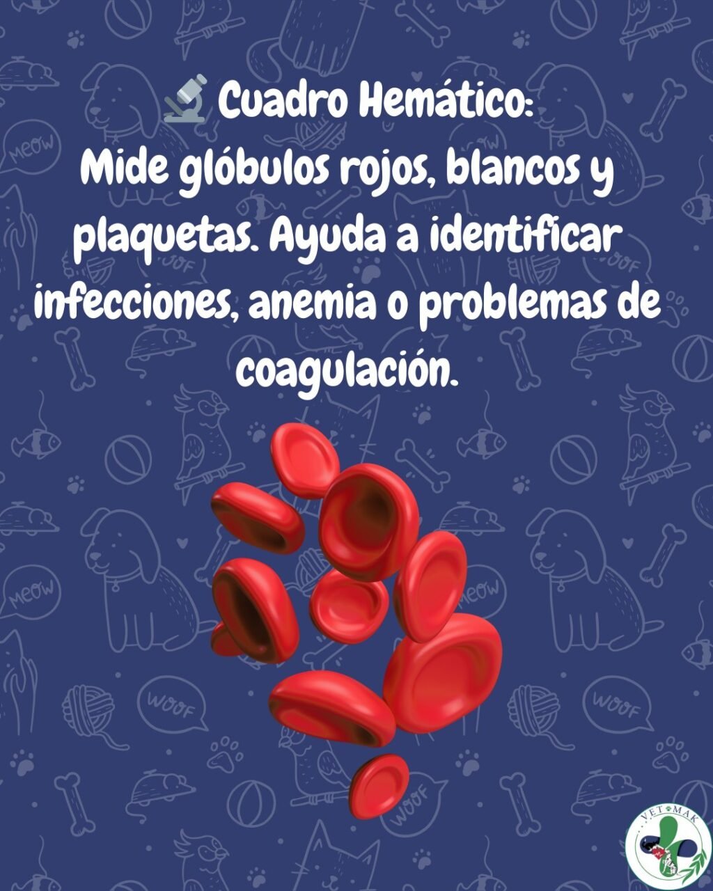 Instagram post from vetmak_clinica. This post is in position 2.