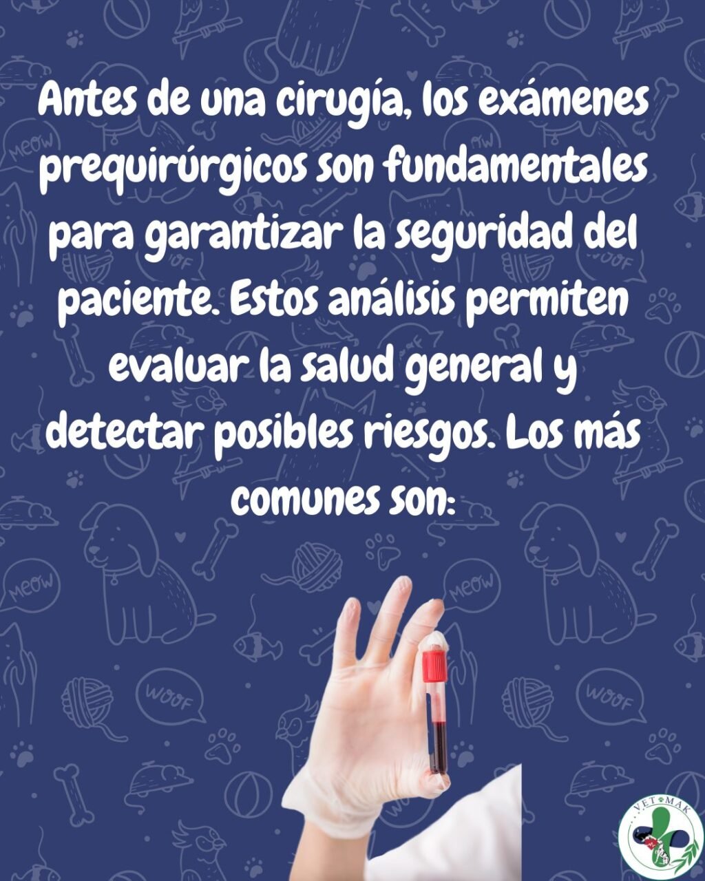 Instagram post from vetmak_clinica. This post is in position 1.