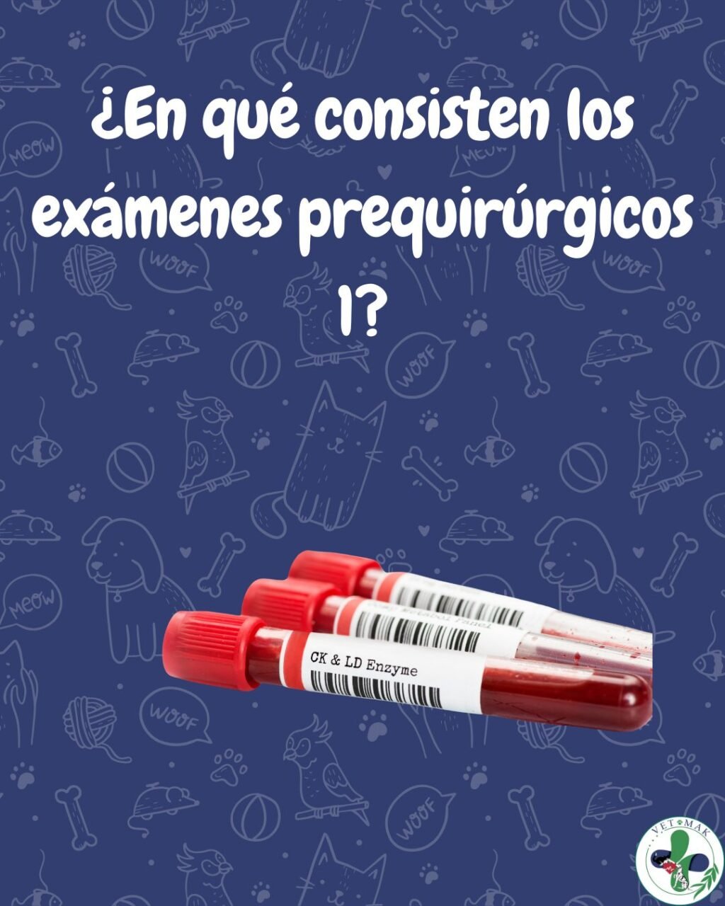 Instagram post from vetmak_clinica. This post is in position 0.