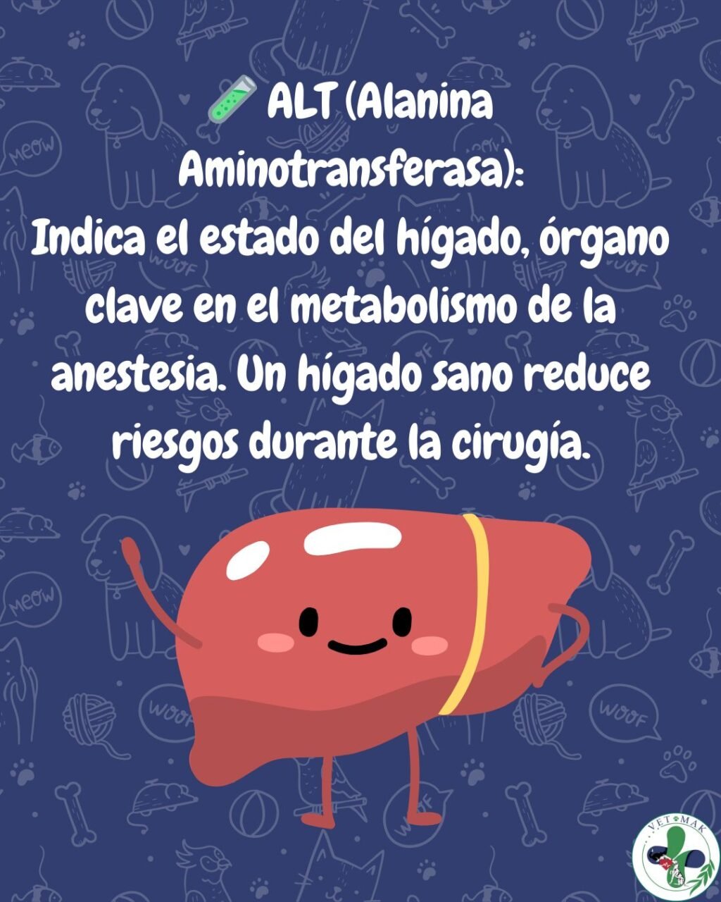 Instagram post from vetmak_clinica. This post is in position 4.