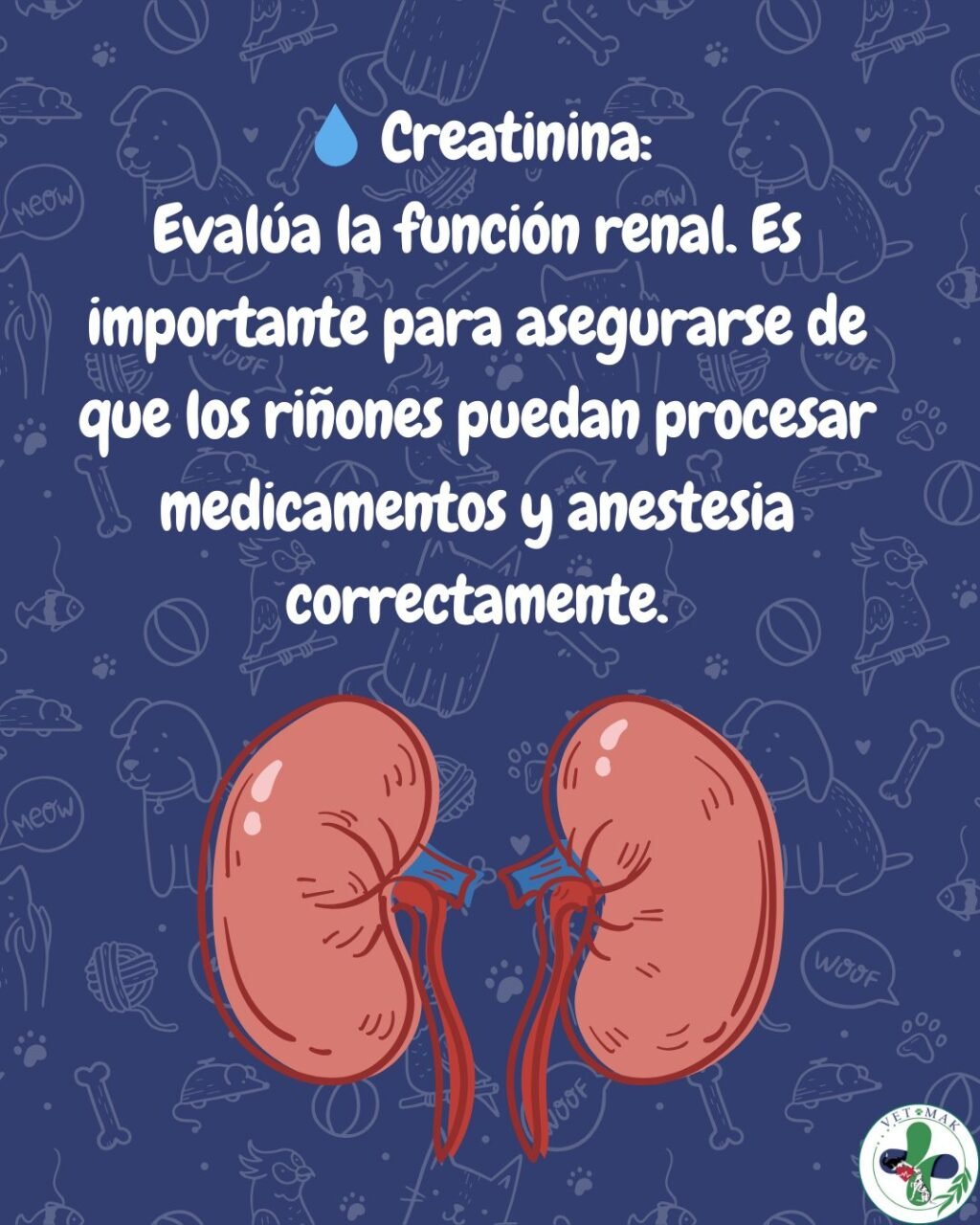 Instagram post from vetmak_clinica. This post is in position 3.