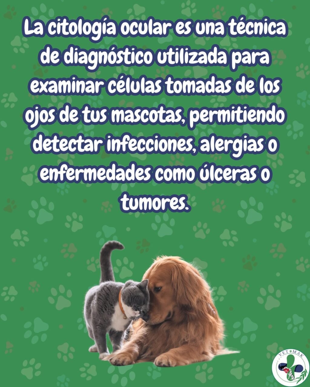 Instagram post from vetmak_clinica. This post is in position 1.