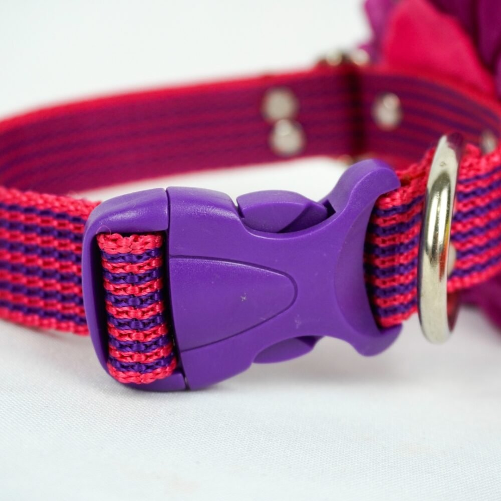 Collares mascota lazo - Imagen 3