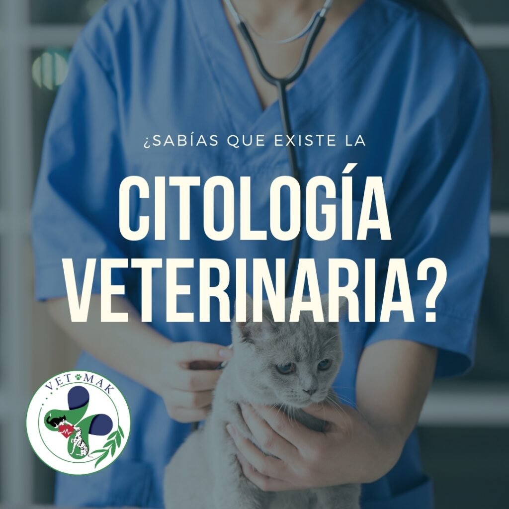 Sabías que existe la citología veterinaria