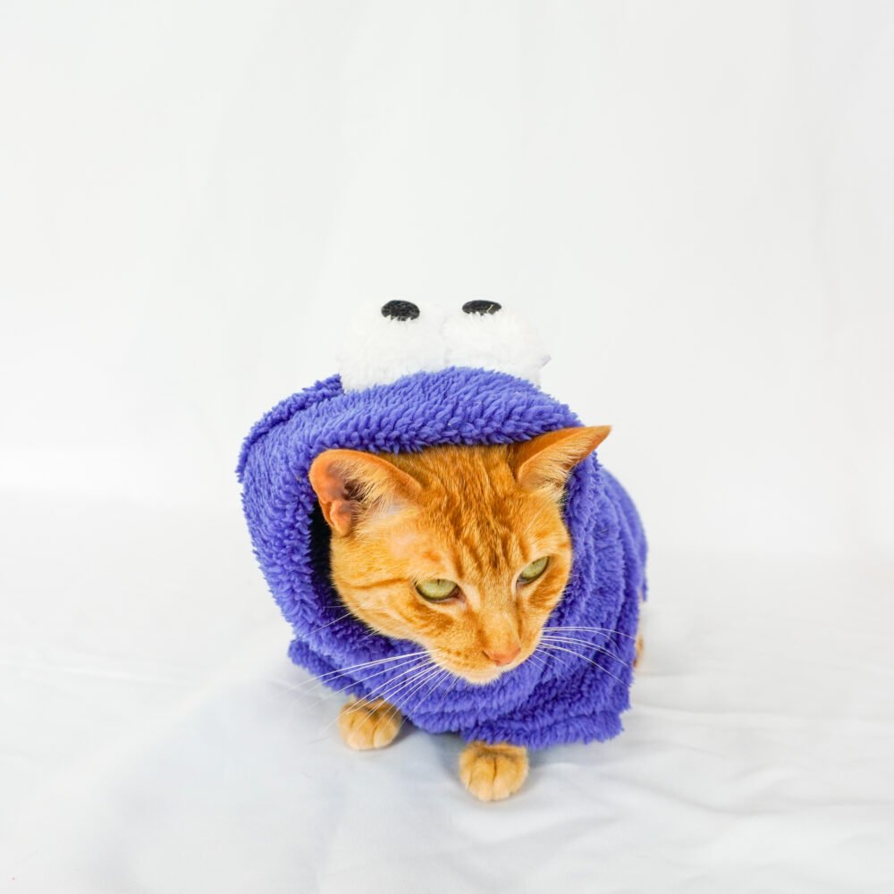 Traje Capotero de Comegalletas para Mascotas - Imagen 4