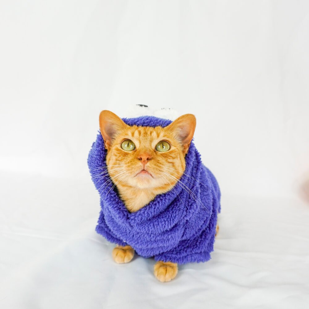 Traje Capotero de Comegalletas para Mascotas - Imagen 2