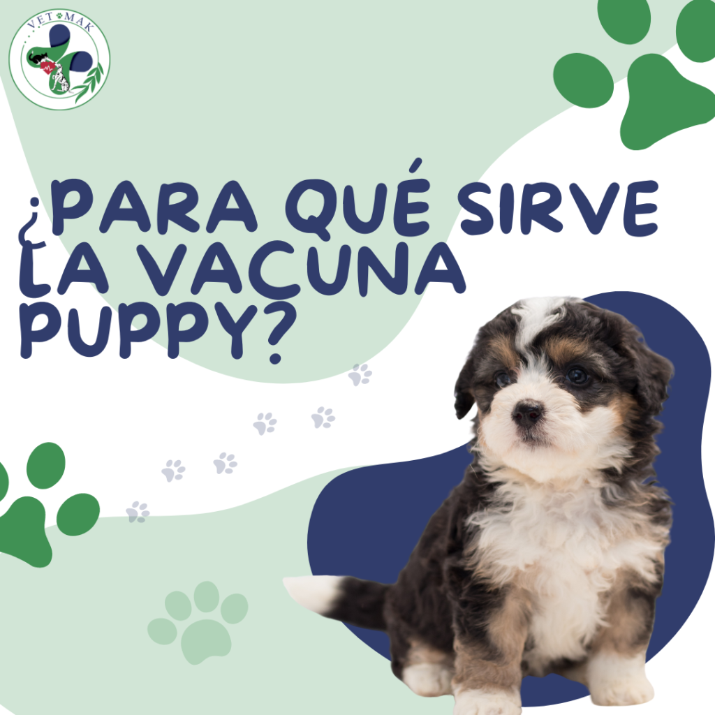Para qué sirve la vacuna Puppy