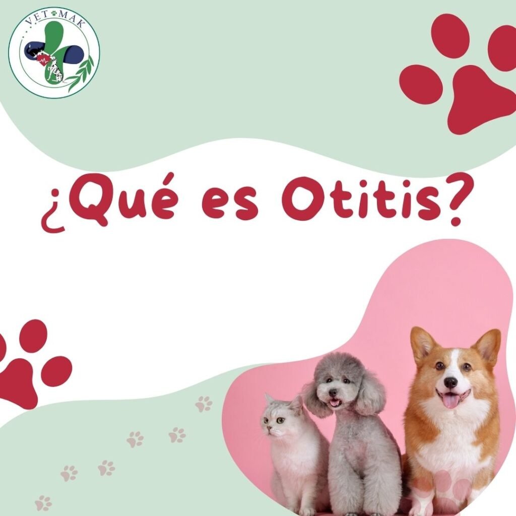 Qué es Otitis