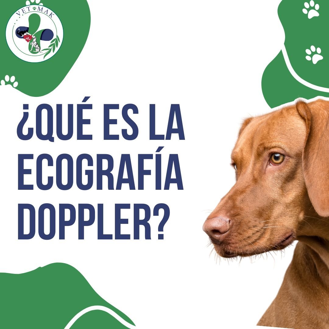 Ecografía Doppler